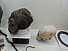DSCN8370.JPG
