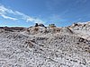 DSCN8391.JPG