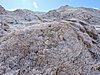 DSCN8412.JPG