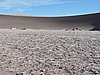 DSCN8420.JPG