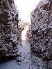 DSCN8428.JPG