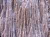 DSCN8432.JPG