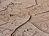 DSCN8438.JPG