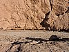DSCN8440.JPG