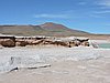DSCN8463.JPG
