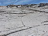 DSCN8467.JPG