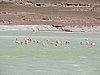 DSCN8468.JPG