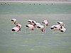 DSCN8469.JPG