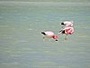 DSCN8473.JPG