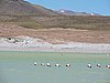DSCN8475.JPG