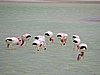 DSCN8478.JPG
