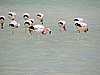 DSCN8480.JPG