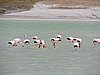 DSCN8483.JPG