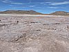DSCN8485.JPG