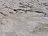 DSCN8495.JPG