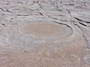 DSCN8496.JPG