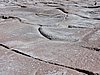 DSCN8497.JPG