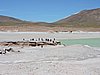 DSCN8499.JPG