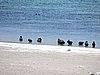 DSCN8514.JPG