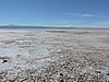 DSCN8519.JPG