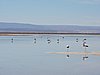 DSCN8520.JPG