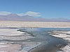 DSCN8523.JPG