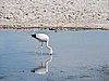 DSCN8524.JPG