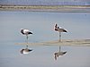 DSCN8526.JPG