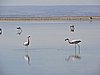 DSCN8528.JPG