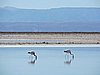 DSCN8530.JPG