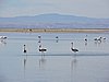 DSCN8531.JPG