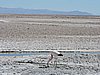 DSCN8535.JPG