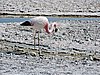 DSCN8536.JPG