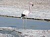 DSCN8538.JPG