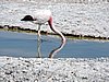 DSCN8540.JPG