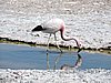 DSCN8541.JPG