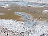DSCN8566.JPG