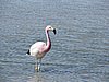 DSCN8568.JPG