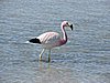 DSCN8569.JPG