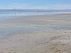DSCN8570.JPG