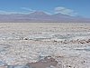 DSCN8571.JPG