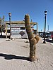 DSCN8577.JPG