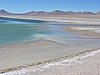 DSCN8617.JPG