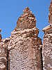DSCN8631.JPG
