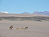 DSCN8646.JPG