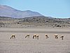 DSCN8648.JPG