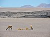 DSCN8652.JPG