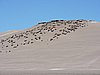 DSCN8653.JPG