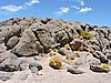 DSCN8664.JPG