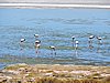 DSCN8671.JPG